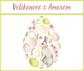 Snímek obrazovky 2025-04-10 234128